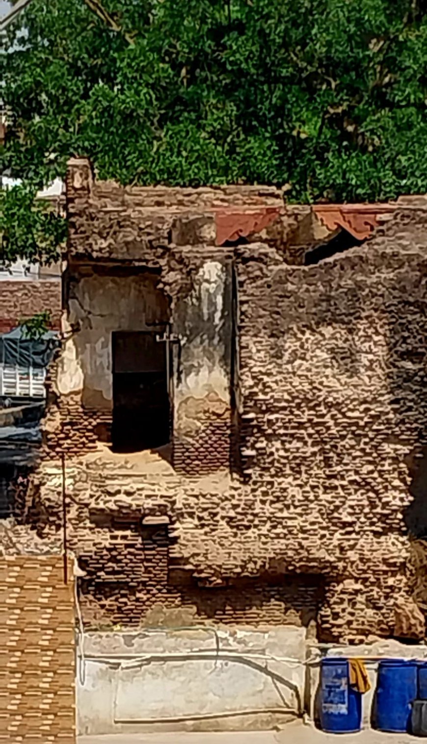 ताज की चमक के पीछे मरता इतिहास: हाईकोर्ट में दायर जनहित याचिका से खुला सच, आगरा की विरासत पर लापरवाही का काला साया