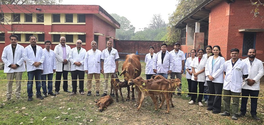 स्वदेशी नस्लों में वैज्ञानिक क्रांति: आईवीआरआई ने उन्नत तकनीक से साहीवाल के पांच उत्कृष्ट बछड़े तैयार कर रचा इतिहास