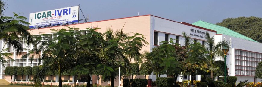 बरेली के भारतीय चिकित्सा अनुसंधान संस्थान ने QS रैंकिंग में रचा इतिहास, टॉप-100 में जगह बनाकर बना देश का पहला प्रतिनिधि