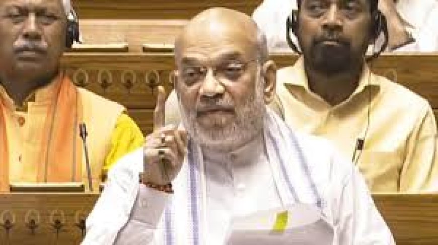 लोकसभा में कांग्रेस पर अमित शाह का तीखा प्रहार,   आदिवासियों का क्यों नहीं किया विकास,  मोदी सरकार ने किया नक्सलवाद खत्म
