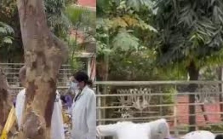 चंडीगढ में बीजेपी दफ्तर के बाहर ब्लास्ट,   क्रूड बम  से हुआ हमला,  आतंकी हमले के एंगल से जांच 