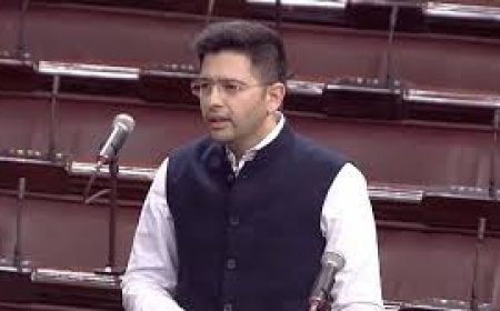 राज्यसभा में उपनेता पद से हटाए गए  राघव चड्ढा, सोशल मीडिया पर डाला पोस्ट,  इविल आई इमोजी के साथ डाला वीडियो