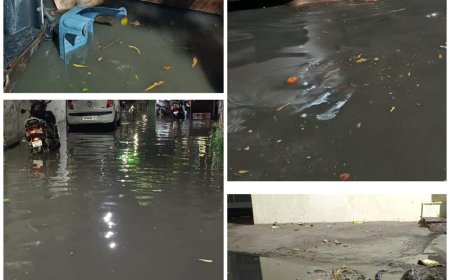 15 मिनट की बारिश में डूबा ‘विकास’ का दावा, यमुना विहार फेस-2 में नालों का गंदा पानी घरों में घुसा