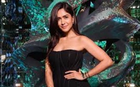 मृणाल ठाकुर-अदिवि शेष की 'डकैत' जल्द होगी रिलीज,  ट्रेलर कर दिया गया जारी,  फैंस को पसंद आ रही है फिल्म