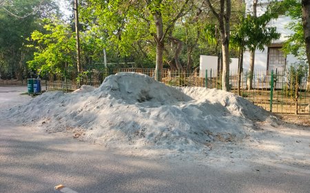 पालीवाल पार्क में निर्माण सामग्री पर फूटा गुस्सा: पर्यावरण प्रहरी की आमरण अनशन की चेतावनी