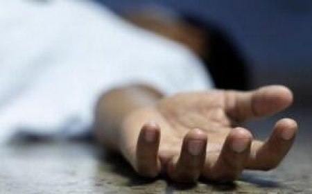 मानसी दहेज हत्या कांड में सनसनीखेज वीडियो आया सामने,  मौत से पहले सड़क पर जान बचाकर भागी थी नवविवाहिता