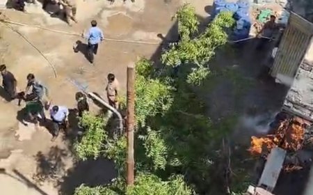 आगरा में गत्ता फैक्ट्री में भीषण आग, लपटों से दहला गुलाब नगर, बगल का मकान भी चपेट में, दीवार गिरी