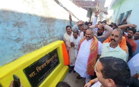 ₹1 करोड़ की लागत से गांव-गांव चमकी सीसी सड़कें, एमएलसी विजय शिवहरे की पहल से बदली तस्वीर