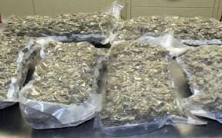 आगरा पुलिस का बड़ा एक्शन, 30 लाख की चरस के साथ तस्कर दबोचा