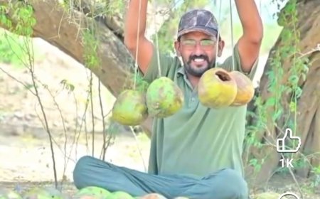 नारियल कचरे से बनया जा सकता है ‘नेचर बैंक’: पालीवाल पार्क से उठी अनोखी पहल, ईको क्लब ने नगर निगम से मांगा सहयोग