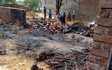 फतेहपुर सीकरी क्षेत्र के ताजपुर नगरिया में आग का तांडव: भूसा-छप्पर राख, मवेशी झुलसे