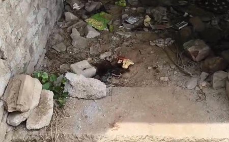 सुबह आगरा में खाली प्लॉट की कोठरी में मिला अज्ञात शव, इलाके में मचा हड़कंप