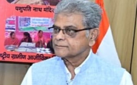 कंक्रीट के जंगलों के बीच हरियाली का महाअभियान: 17 करोड़ से विकसित होने जा रहा ‘नगर वन’ बरेली को देगा नई सांस, पर्यावरण-पर्यटन और शोध का बनेगा शक्तिशाली केंद्र