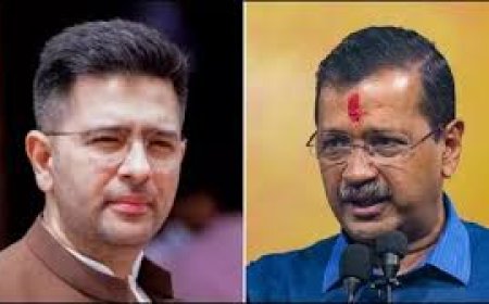 केजरीवाल को झटका,  राघव चड्ढा समेत आप के 7 बागी सांसदों के विलय को मिली मंजूरी, अब राज्यसभा में बीजेपी की संख्या 113 हुई