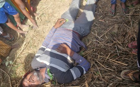 आगरा के बाह क्षेत्र में कहर बनकर गिरी आसमानी बिजली: खेत में खड़े युवक की दर्दनाक मौत, नीम का पेड़ भी फट गया, परिवार में मातम