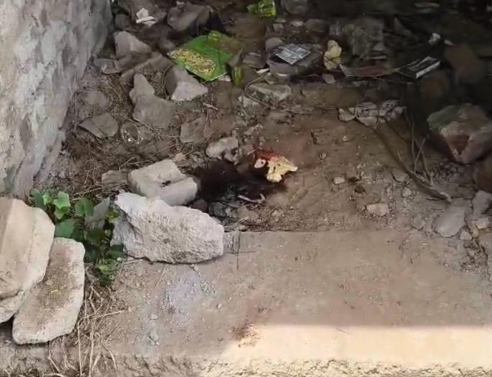 सुबह आगरा में खाली प्लॉट की कोठरी में मिला अज्ञात शव, इलाके में मचा हड़कंप