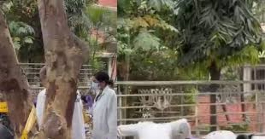 चंडीगढ में बीजेपी दफ्तर के बाहर ब्लास्ट,   क्रूड बम  से हुआ हमला,  आतंकी हमले के एंगल से जांच 