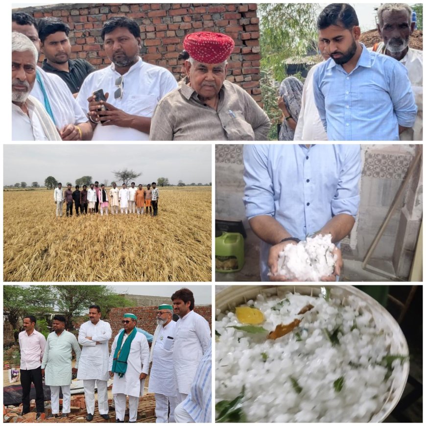 तूफान के प्रहार संग ओलों की मार: आगरा की किरावली तहसील में भारी तबाही, फसलें बर्बाद, किसान बेहाल