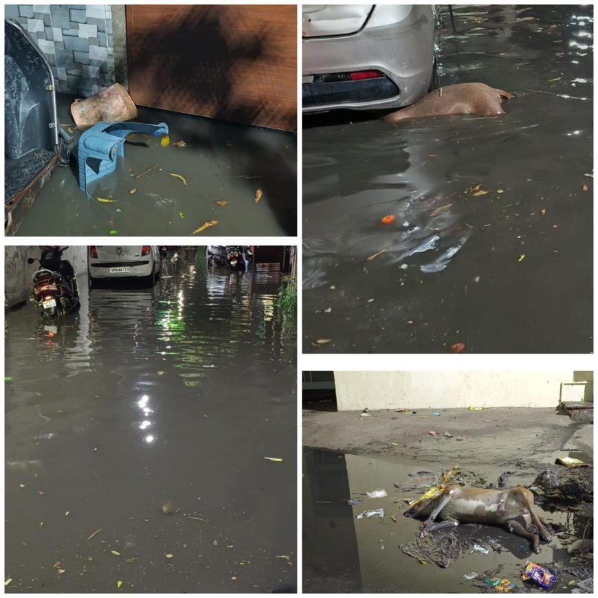 15 मिनट की बारिश में डूबा ‘विकास’ का दावा, यमुना विहार फेस-2 में नालों का गंदा पानी घरों में घुसा