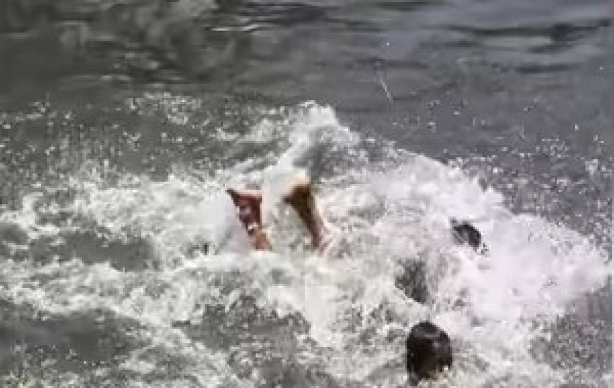 आगरा में पिता की डांट से क्षुब्ध युवती ने यमुना में लगाई छलांग, मजदूर की बहादुरी से बची जान