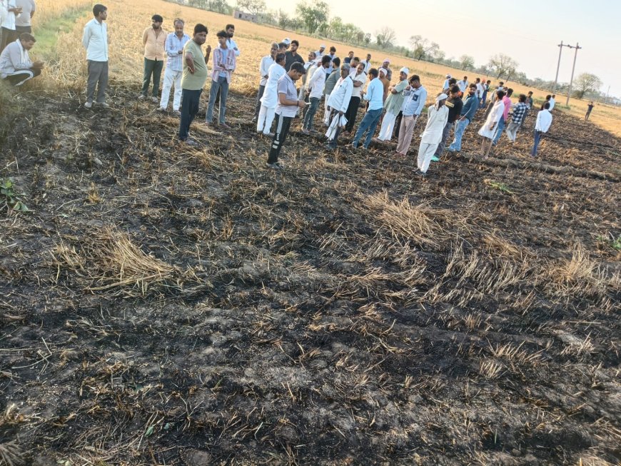 आगरा के दूरा गांव में जर्जर बिजली लाइन की चिंगारी से धधके खेत, गेहूं की फसल राख, किसान गुस्से में