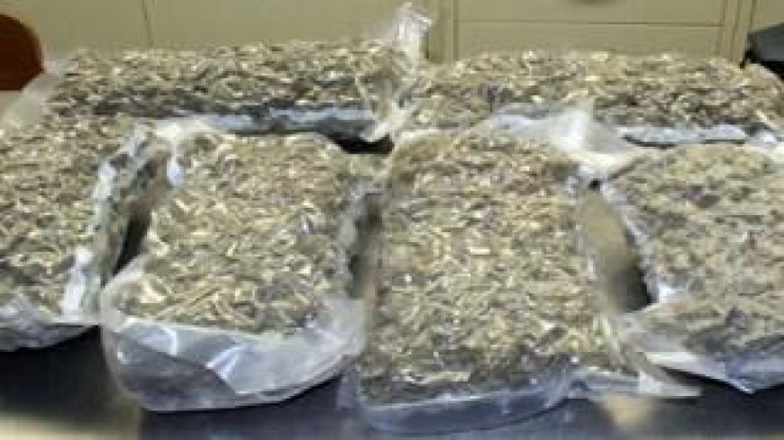 आगरा पुलिस का बड़ा एक्शन, 30 लाख की चरस के साथ तस्कर दबोचा