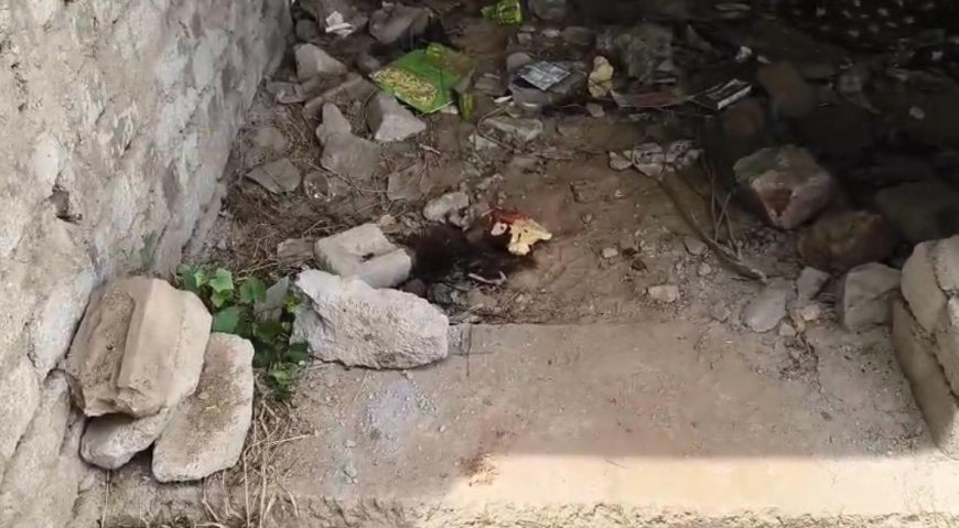 सुबह आगरा में खाली प्लॉट की कोठरी में मिला अज्ञात शव, इलाके में मचा हड़कंप