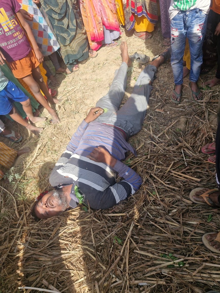 आगरा के बाह क्षेत्र में कहर बनकर गिरी आसमानी बिजली: खेत में खड़े युवक की दर्दनाक मौत, नीम का पेड़ भी फट गया, परिवार में मातम