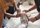 धधकती भट्टी के सामने मासूम की चीखें: आगरा के बाह में हलवाई की दुकान पर स्कूटी के एक्सीलेटर ने बरपाया कहर, खौलते तेल से झुलसा साढ़े तीन साल का मयंक