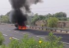 आगरा-लखनऊ एक्सप्रेसवे पर धू-धू कर जली स्कॉर्पियो, बाल-बाल बचे अधिशासी अभियंता और चालक