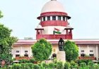 आवारा कुत्तों के मामले में सुप्रीम कोर्ट का आदेश, 'बीमार और खतरनाक कुत्तों को मारने पर हो विचार'