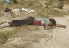 आगरा के गामरी गांव में खाली बाड़े में मिला युवक का लहूलुहान शव, चेहरे और शरीर पर चोटों के निशान, हत्या की आशंका से दहला मलपुरा