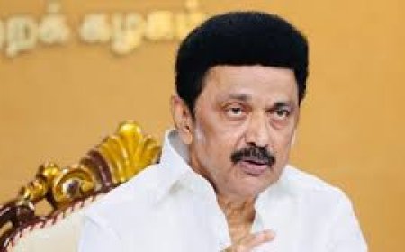 सीएम स्टालिन विधानसभा चुनाव हारे, टीवीके प्रत्याशी ने आठ हजार मतों से हराया