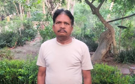पालीवाल पार्क अवैध वसूली ही नहीं अय्याशी का भी अड्डा बना, ईको क्लब में मिले शराब पार्टी के सबूत और कंडोम रैपर, ठेका खत्म होने के बाद भी जारी टिकट वसूली, उद्यान विभाग पर मिलीभगत के आरोप, गरीब से बेटी के रिश्ते के नाम पर वसूले गये 200 रुपये