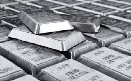 सरकार ने चांदी के आयात को और किया सख्त,  नए नियम तत्काल प्रभाव से लागू