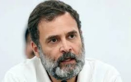 राहुल गांधी ने कहा, शिक्षा मंत्री को बर्खास्त करें पीएम,  एनएसयूआई ने फिर किया जोरदार प्रदर्शन,  एनटीए में व्यापक फेपबदल  