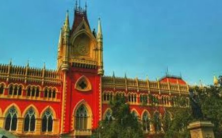 बकरीद से पहले कलकत्ता हाई कोर्ट का बड़ा फैसला, 'गाय कुर्बानी का हिस्सा नहीं', याचिका रद्द