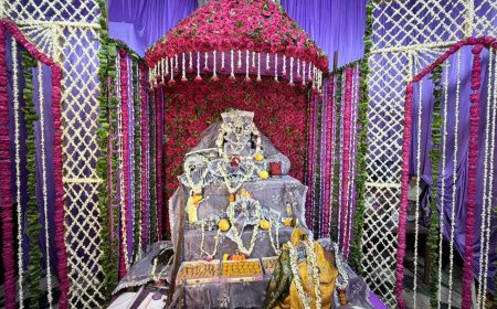 गंगा दशहरा पर ठाकुर जी के समक्ष शस्त्र पूजन- श्री मथुराधीश मंदिर गुलाबों से महका, श्री प्रेमनिधि मंदिर में मना पाटोत्सव