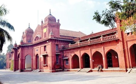 बरेली कॉलेज के 29 एनसीसी कैडेट एक साथ बने अग्निवीर, प्रदेश में पहली बार बना अनोखा रिकॉर्ड