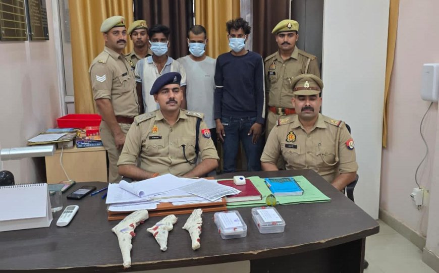 पशु व्यापारियों से लूट और मारपीट करने वाले तीन बदमाश दबोचे, 24 घंटे में आगरा पुलिस का खुलासा, लूटी गई बाइक, रकम और तीन तमंचे बरामद