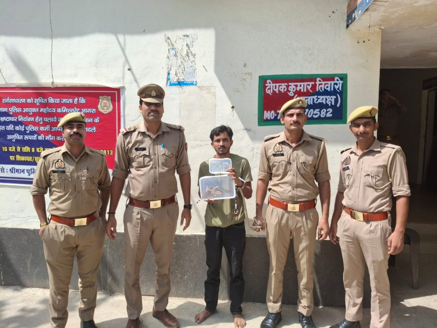 आगरा में मंदिर में चोरी का आरोपी गिरफ्तार, तमंचा-कारतूस बरामद
