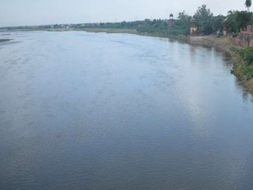 अधिक मास में आज यमुना छठ का पावन उत्सव: पुष्टिमार्गीय वैष्णव परंपरा में श्री यमुना जी का दिव्य महात्म्य, कृष्ण-प्रेम और आध्यात्मिक महत्व