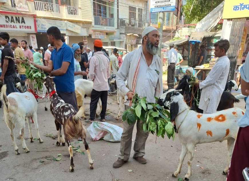 बकरीद बाजार पर सियासत और सख्ती की मार: बरेली की मंडियों से गायब हुए बंगाल-महाराष्ट्र के बड़े व्यापारी, देवचरा और रिठौरा मंडियों की रौनक फीकी, खुले में कुर्बानी पर सख्ती और महंगे बकरों का असर