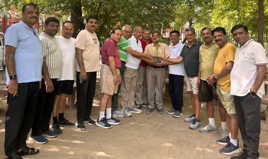 पालीवाल पार्क में चला स्वच्छता और जनजागरूकता अभियान, ‘नो प्लास्टिक ज़ोन’ घोषित करने और प्राकृतिक मल्च बचाने को लेकर उठी जोरदार आवाज