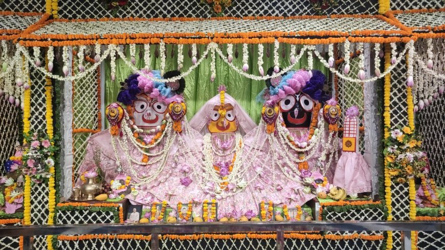 कमल मनोरथ से काली घटा दर्शन और तुलसी विवाह से श्रीकृष्ण जन्मोत्सव व गंगा दशहरा सेवा तक पुरुषोत्तम मास में भक्ति, उत्सव और सनातन परंपरा से सराबोर हुआ आगरा