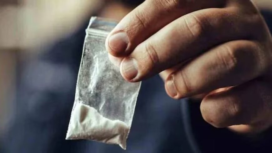 एसटीएफ ने रेड मारकर आगरा में नशे के इंटरनेशनल सिंडिकेट का किया भंडाफोड़, मास्टर माइंड महिला समेत चार तस्कर गिरफ्तार, विदेशी पार्सलों और रेंटल कारों से चलता था करोड़ों के ड्रग्स का खेल