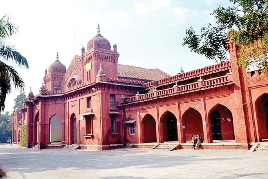 बरेली कॉलेज के 29 एनसीसी कैडेट एक साथ बने अग्निवीर, प्रदेश में पहली बार बना अनोखा रिकॉर्ड