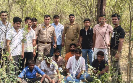 जंगल में सजी थी जुए की महफिल, सिकंदरा पुलिस का छापा; 6 जुआरी गिरफ्तार