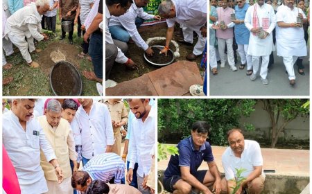 "एक पेड़ मां के नाम" बना जनआंदोलन,  आगरा शहर से गांव तक भाजपा का महाअभियान