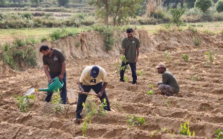 विश्व पर्यावरण दिवस पर वाइल्डलाइफ एसओएस का हरित अभियान, 2000 पौधे लगाकर दिया संरक्षण का संदेश